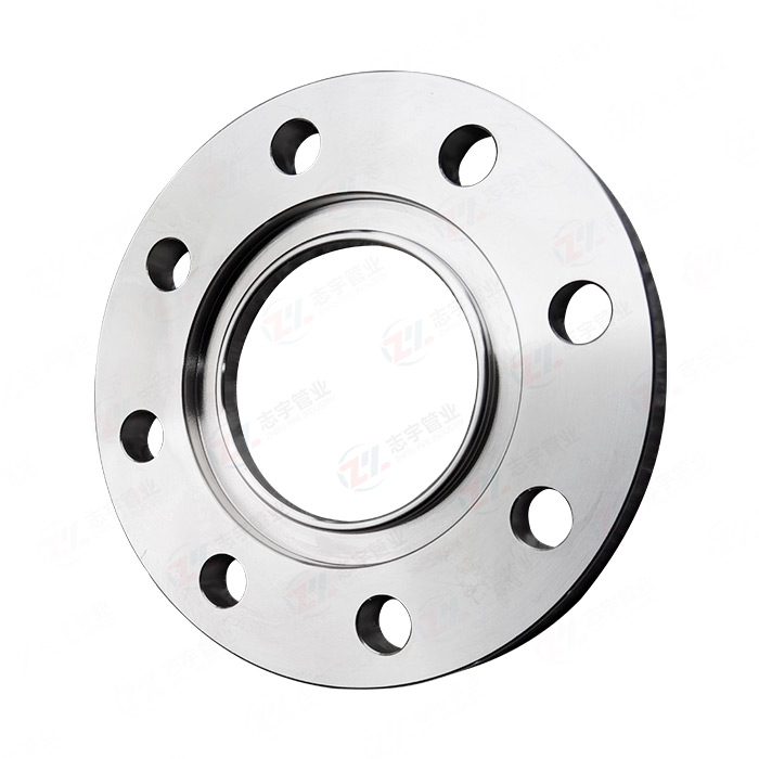 Flexible joint flange